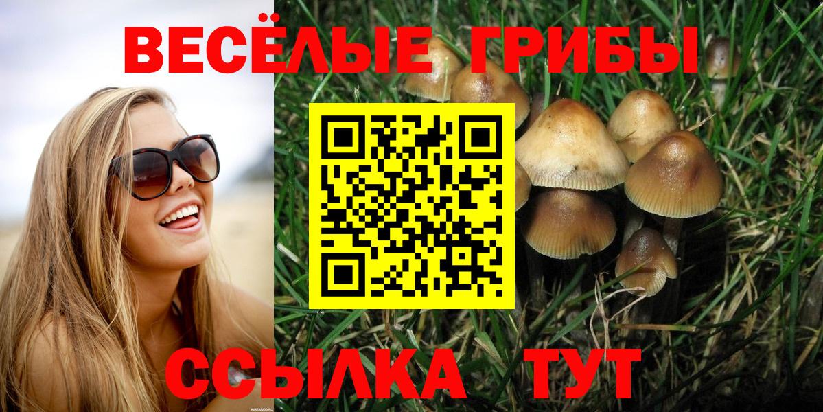 Псилоцибиновые грибы GOLDEN TEACHER  где продают наркотики  Галлюциногенные грибы мухоморы  Таганрог  Вход с VPN 