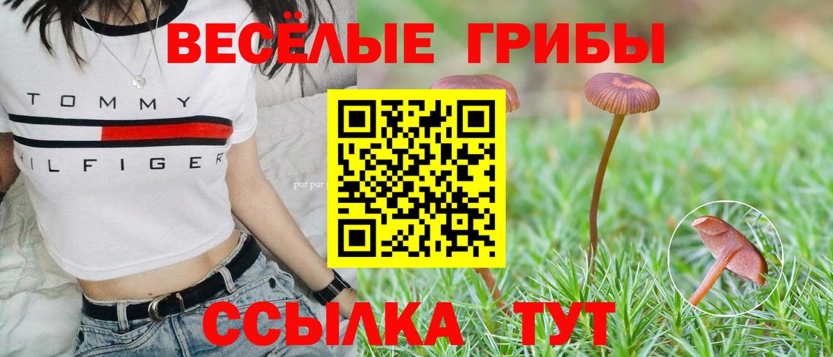 Галлюциногенные грибы прущие грибы Таганрог